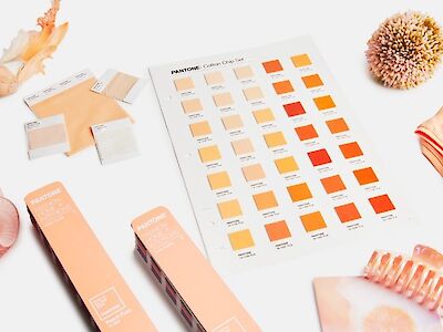 Pantone Colour of the Year 2024: Peach Fuzz 13-1023