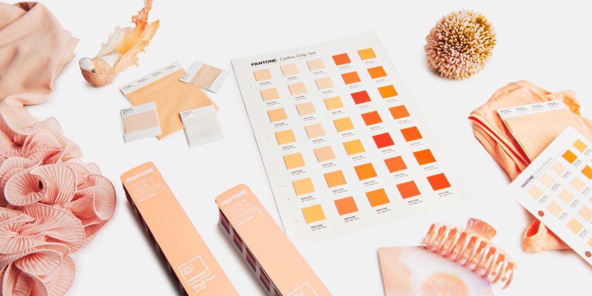 Pantone Colour of the Year 2024: Peach Fuzz 13-1023