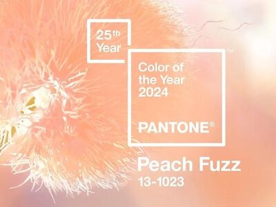 Pantone Colour of the Year 2024: Peach Fuzz 13-1023